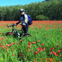 El Josep Maria en un camp de roselles