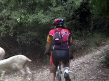 El Jordi darrera un ramat d'ovelles per Collserola