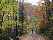 La tardor a les Guilleries