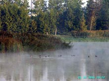 Estany de Sils