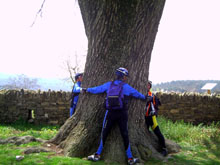 Fotografia feta al roure del Giol, arbre monumental que est a Santa Coloma Sasserra