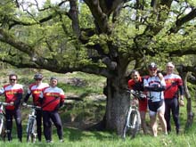 Els integrants de l'excursi sota el anomenat Roure de la Senyora